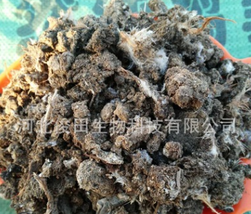生物肥與飼料 鋤禾日當午，畜牧漁業的綠色未來